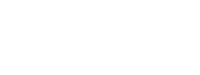 logo fenway white